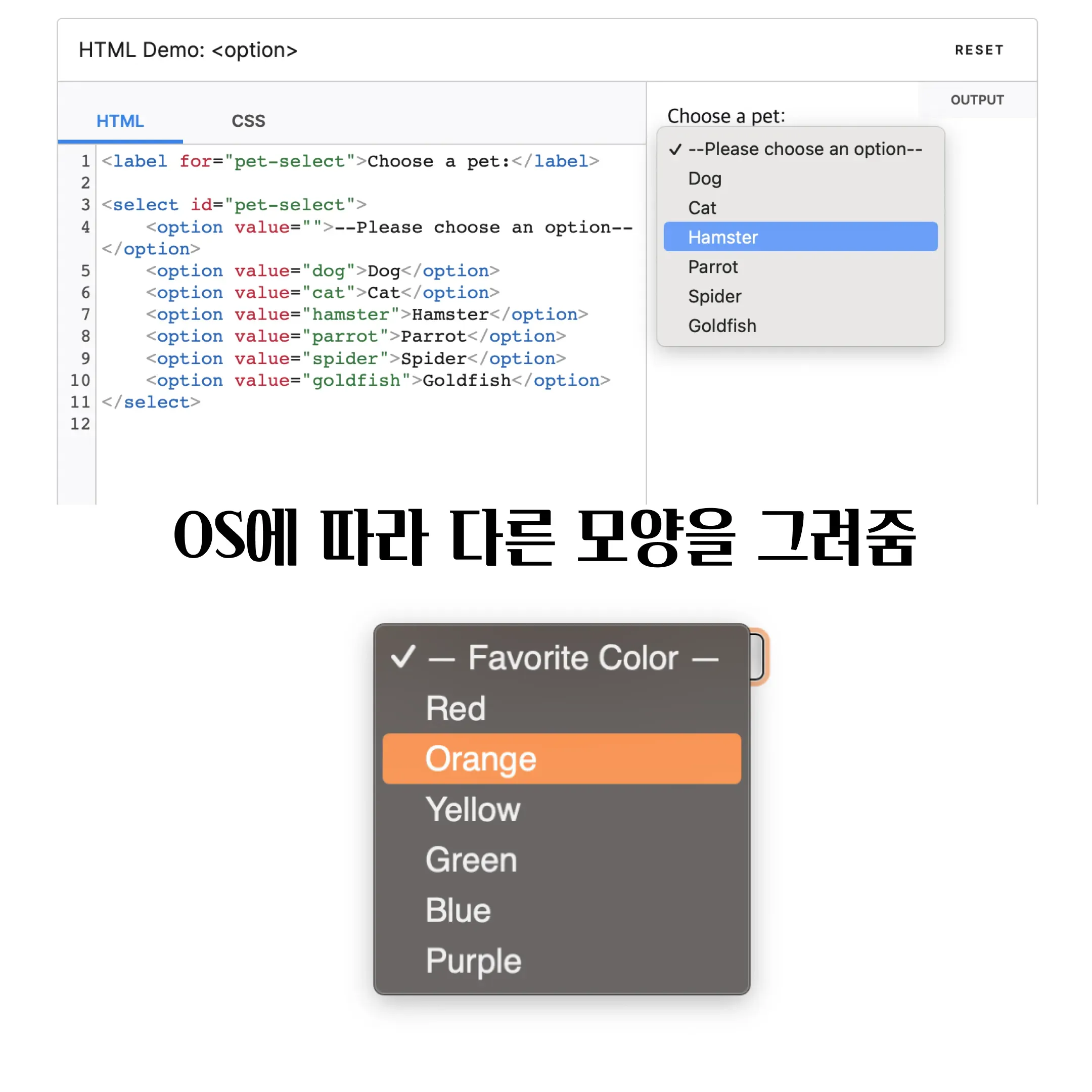 <option>태그는 os에서 담당한다.