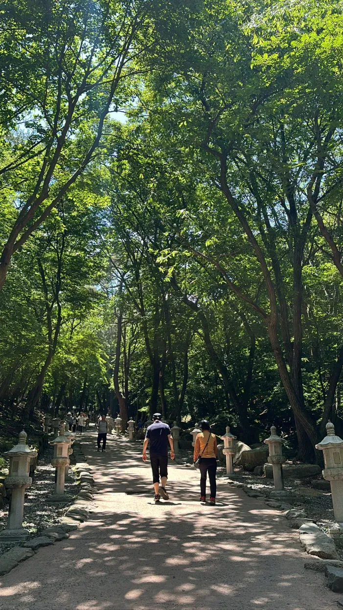 날이 너무 좋았을 때 팔공산에 갔다.