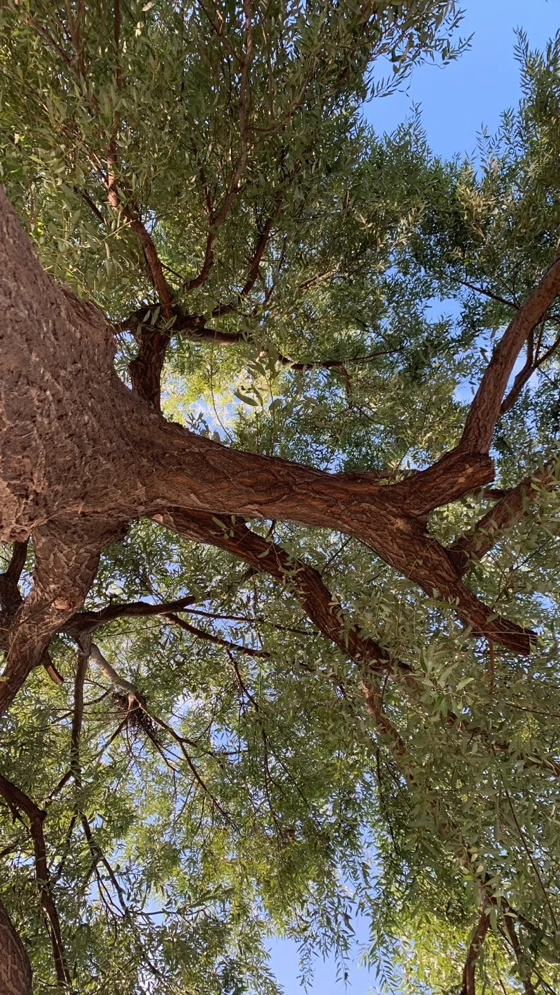 2023-burn-out-retrospect cover image